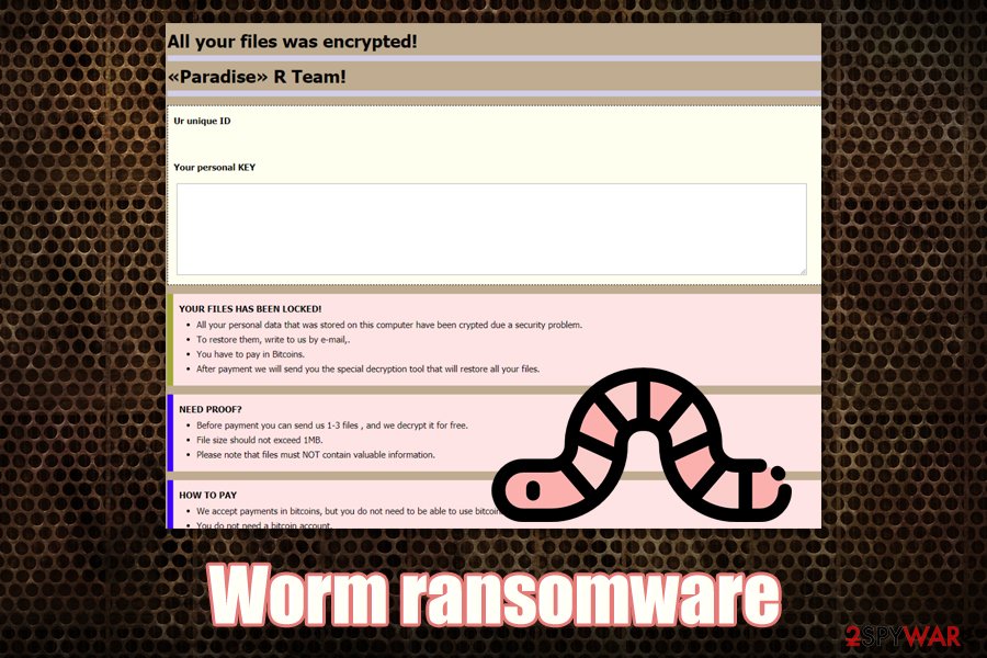 what is a server jamming worm virus